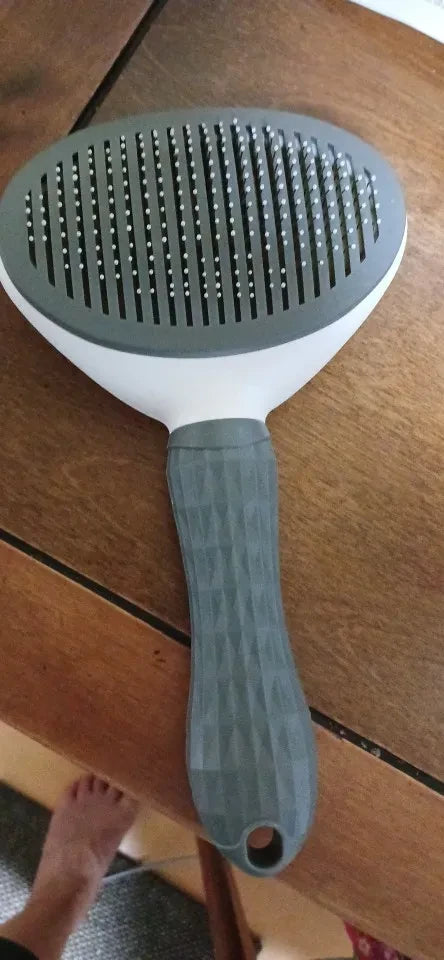 Review Card